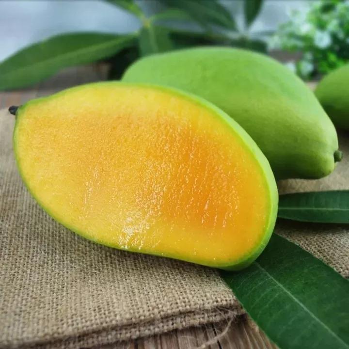 越南大青芒芒果中的巨无霸,越南大青芒泰国酸脆青芒果