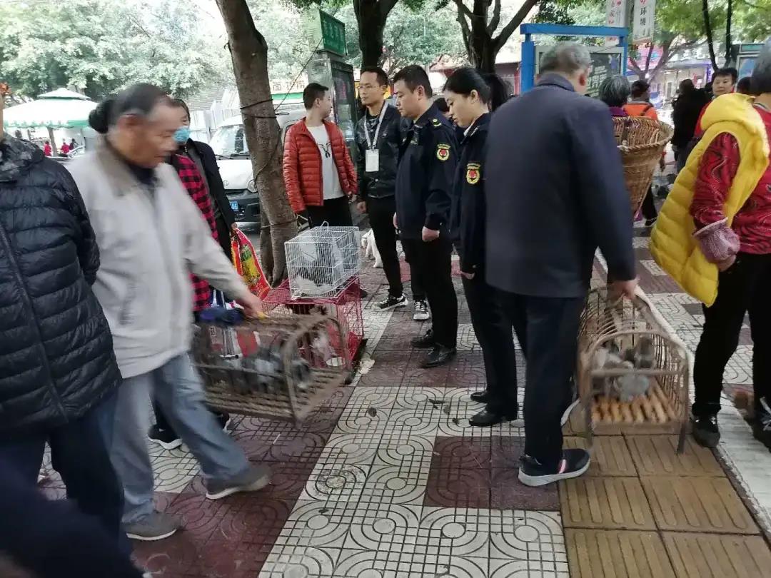 宠物市场搬哪里去了,宜宾宠物市场地址在哪里