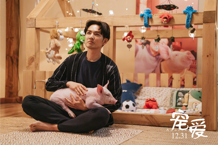 2天冲3亿《宠爱》魅力何在：看完钟汉良的猪，我想起了我家的狗