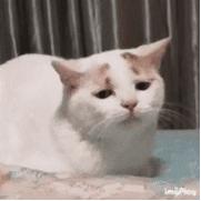 林允儿韩国女团地位,林允儿在少女时代的地位