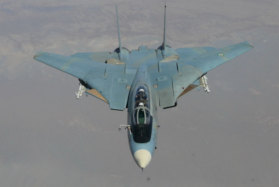 猫咪需要哪些用品,猫迷惑新技能