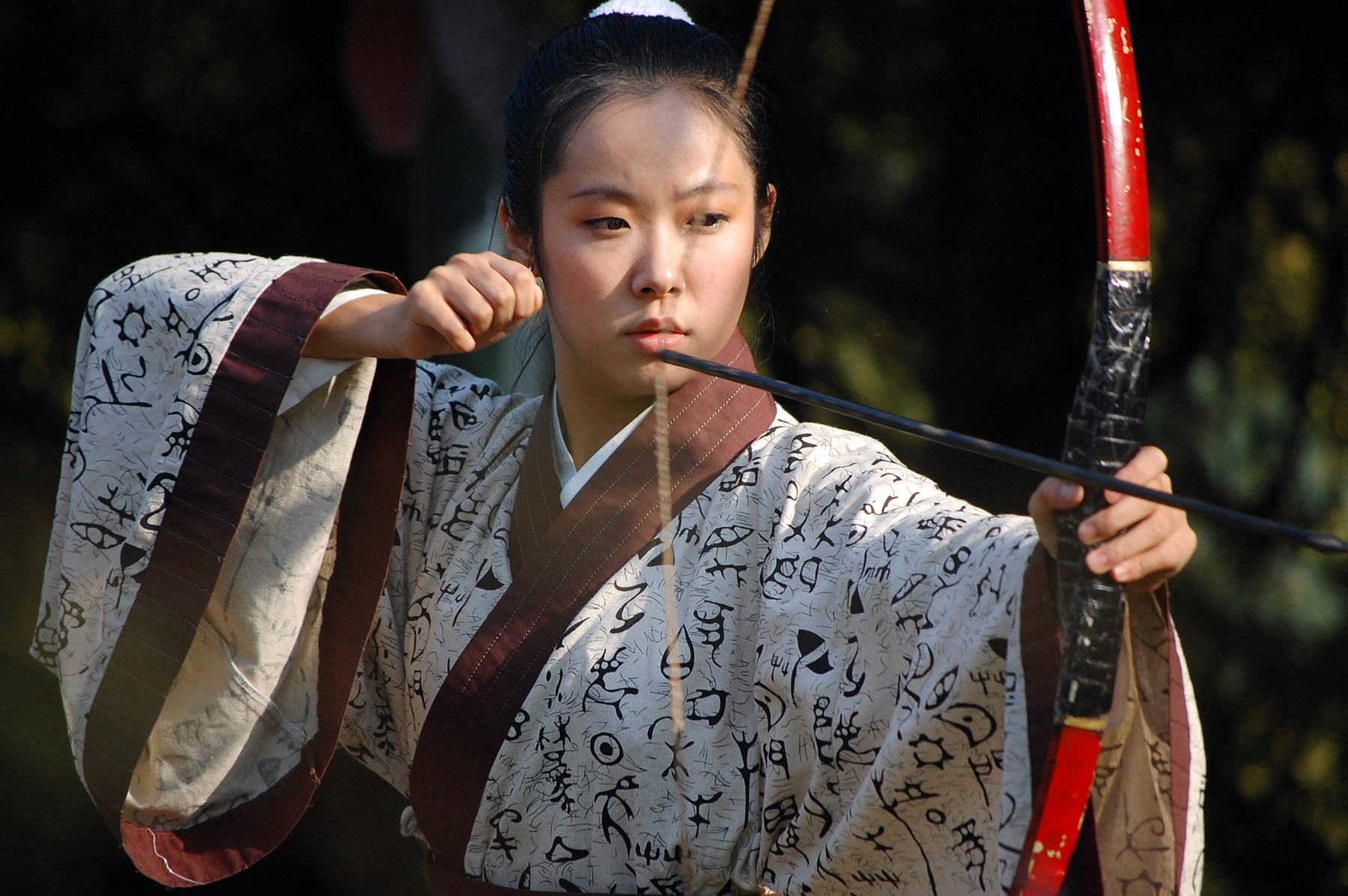 尼康d40x详细介绍,尼康d40x狗头机