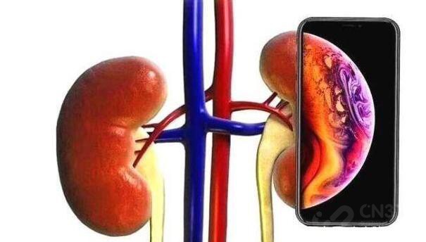 十款最贵的手机一般人买不起,2019年手机盘点这3款手机才是真香