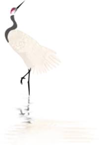 江西省南康中学校歌歌词,大余南安中学校歌