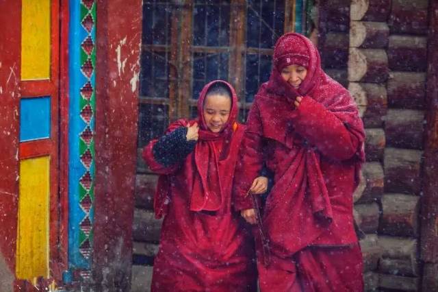 色达下雪了红白交织,色达下雪了图片大全