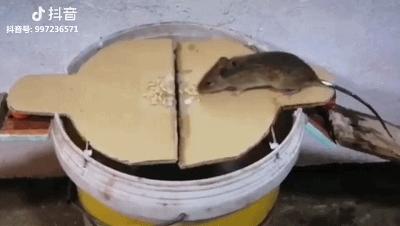 鏅氫笂鐫¤绐佺劧琚汉鎶撲激,瑗垮畨25宀佸コ瀛╄鐚姄浼ゅ悗姝讳骸