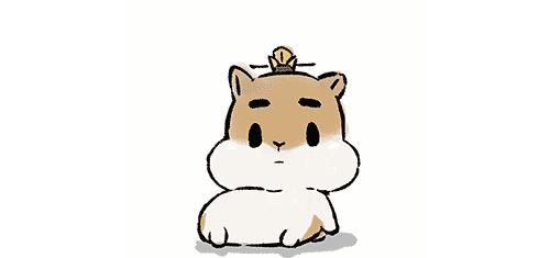 婚礼拍摄十大经典镜头,100-400镜头拍婚礼人像