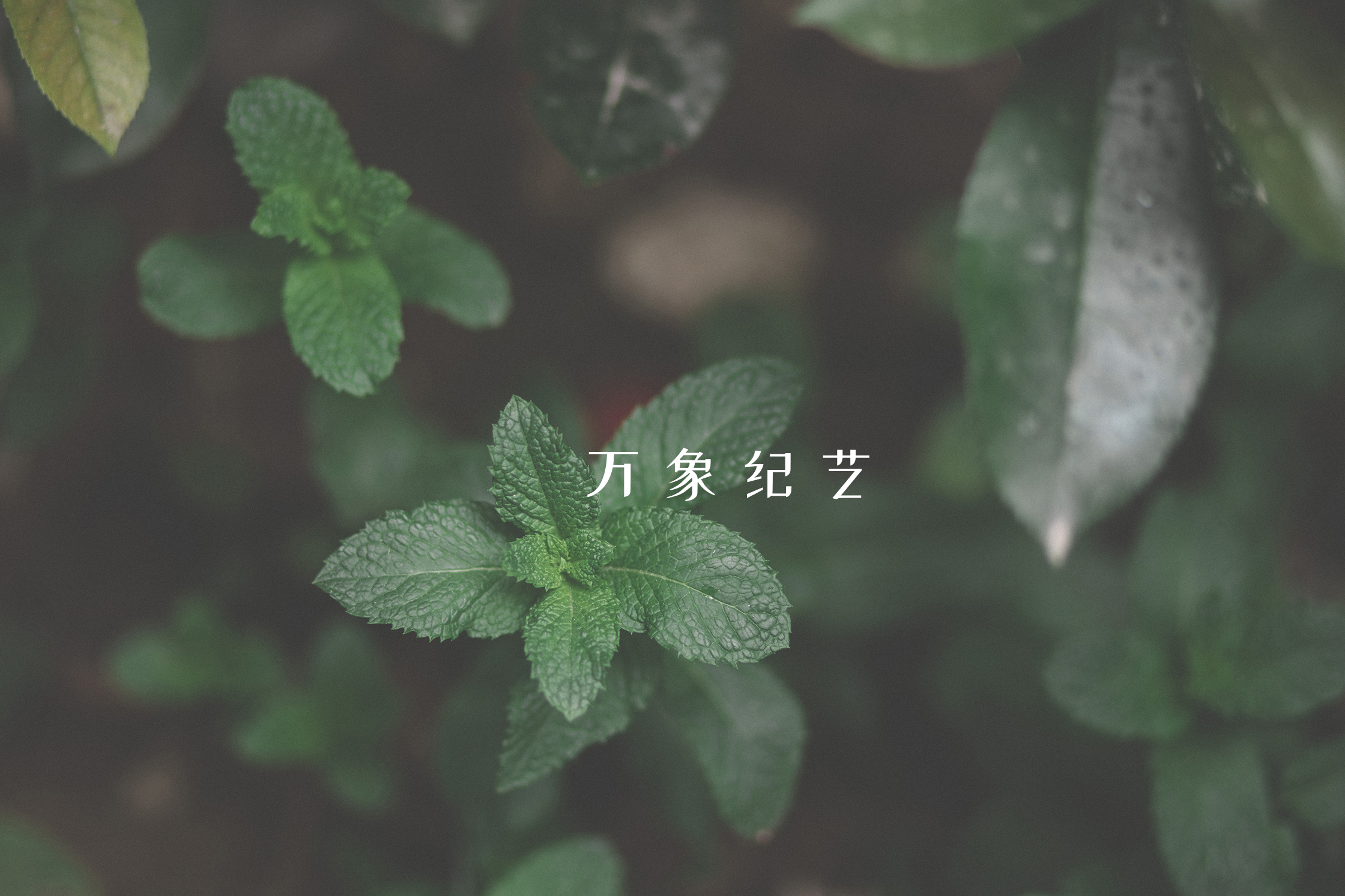 手绘屏保图片手机壁纸,手机壁纸屏保图片可保存至相册