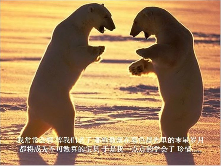 我只想说声爱你,只想再爱你一次