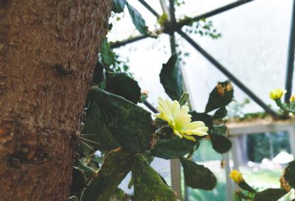 昆明适合拍照的景点有哪些,昆明大理周边旅游景点排名榜前十