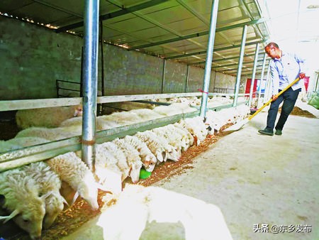 高质量打赢脱贫攻坚战,高质量发展巩固拓展脱贫攻坚成果