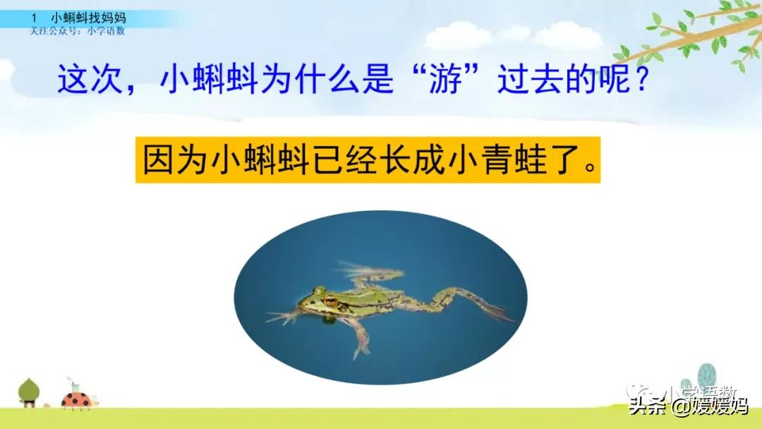 二年级上册小蝌蚪找妈妈听写词语,朗读二年级上册语文小蝌蚪找妈妈