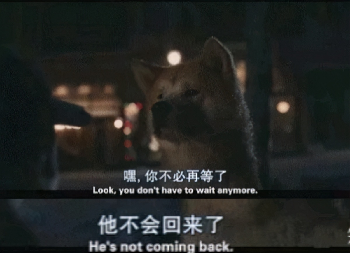 忠犬八公的故事感动的一瞬间,忠犬八公的故事温情片段