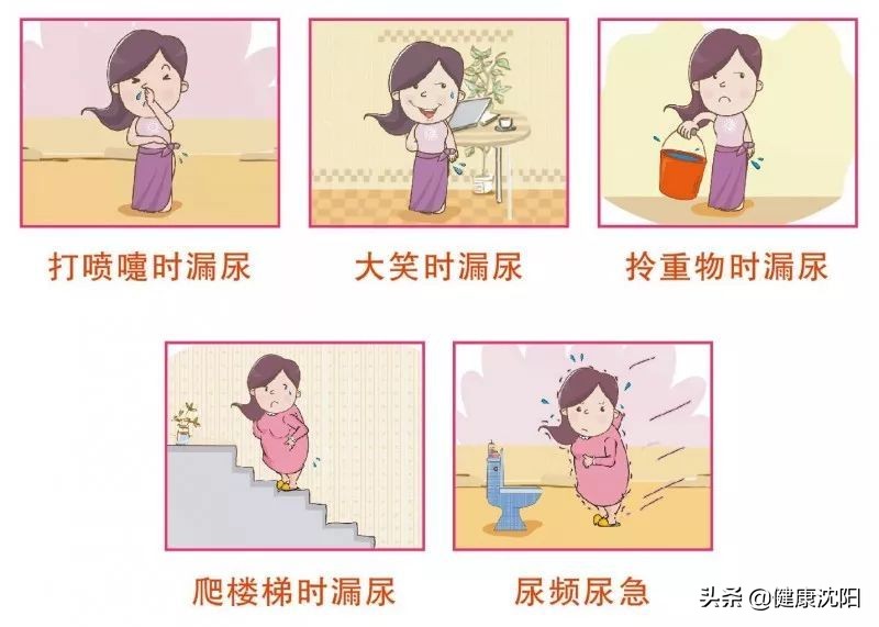 健康科普更年期综合征,盆底功能障碍性疾病科普ppt