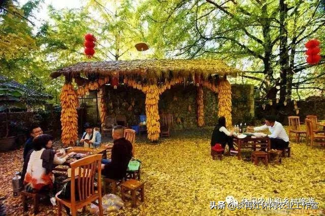 如何打造一个有特色的农家乐,休闲农庄7种盈利模式