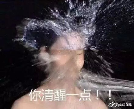 猫咪与自家小猫相处之道,怎么吸引猫咪让猫咪一直在你身边