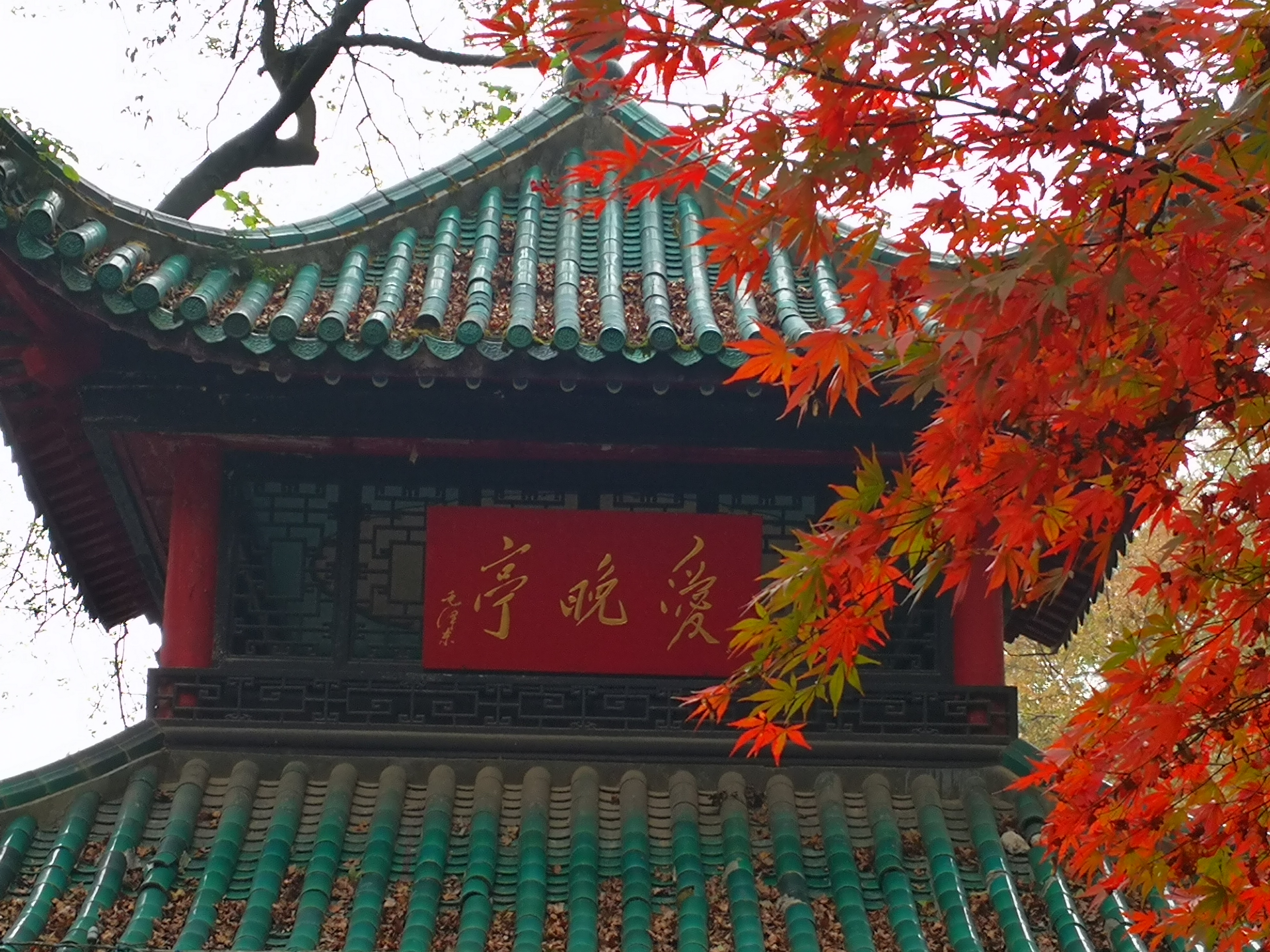 最实惠长沙一日游,长沙一日游的攻略