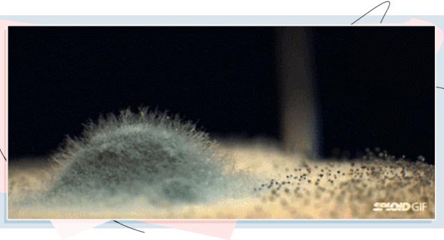 女生身体上有哪些冷知识,女生的健康冷知识