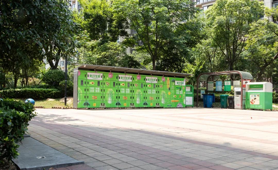 食行生鲜的创始人,食行生鲜生存的原因