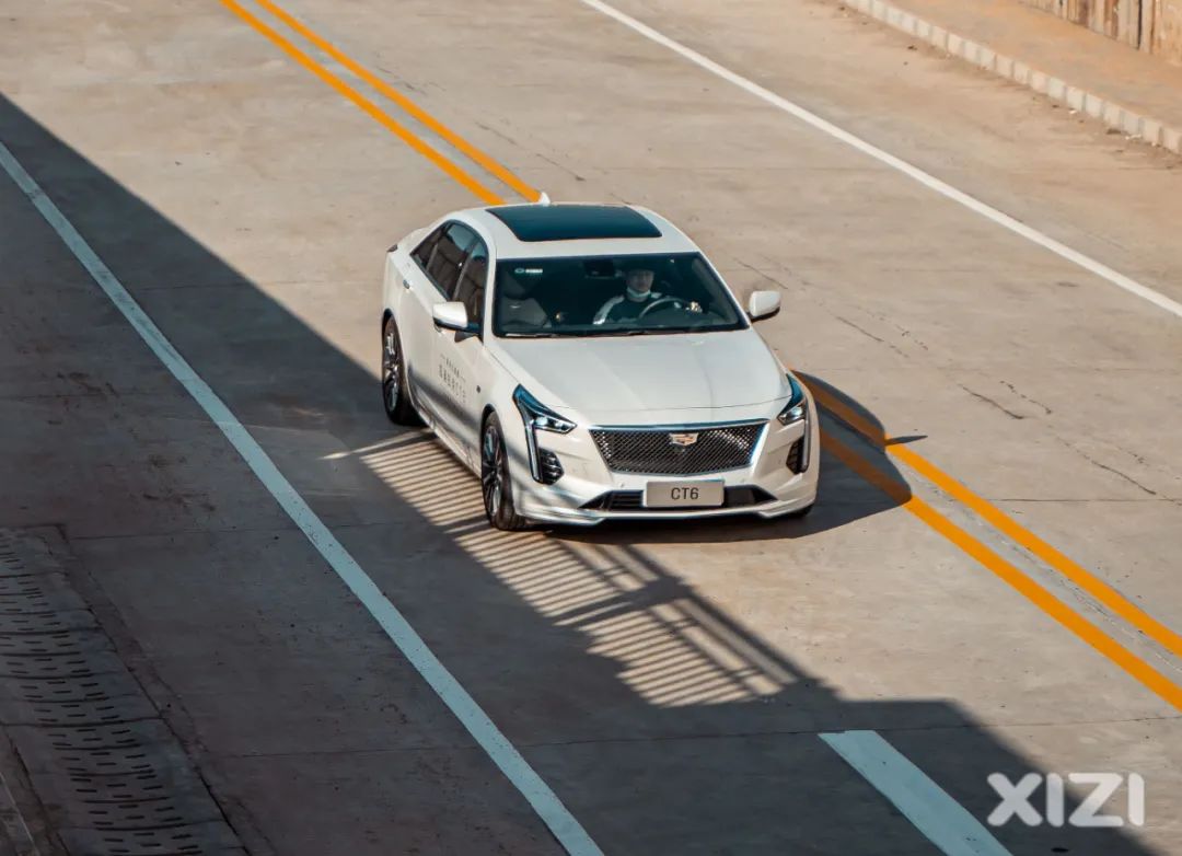 美丽鹅城,最美鹅城