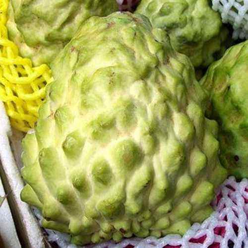 澶х洰鐑甫閲婅喀鏋滅暘鑽旀灊,鐣崝鏋濆拰鑽旀灊鏄竴鏍锋按鏋滃悧