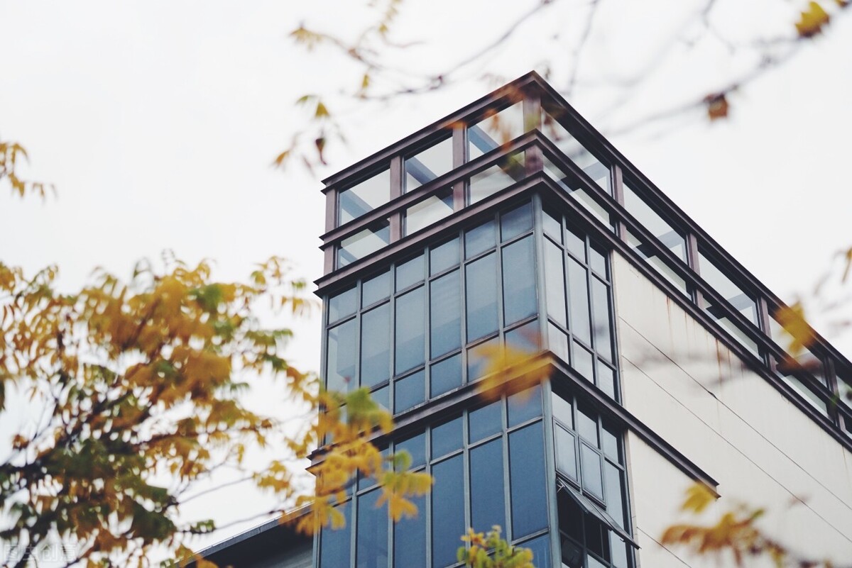 文科生低分选什么专业就业前景好,文科生就业好的十大专业