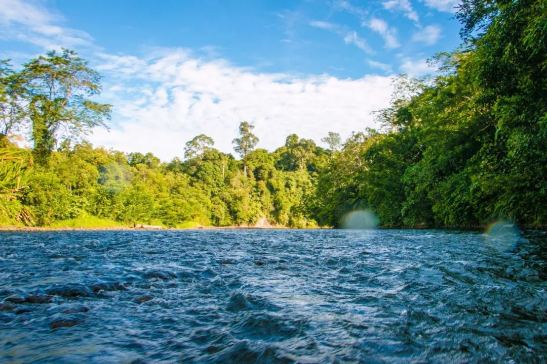 用黄金做房顶，人均5辆车，这个东南亚神秘国度比阿联酋还土豪