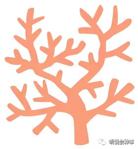 bioisland婴儿dha藻油0-1岁,宝宝海藻油dha哪个牌子好