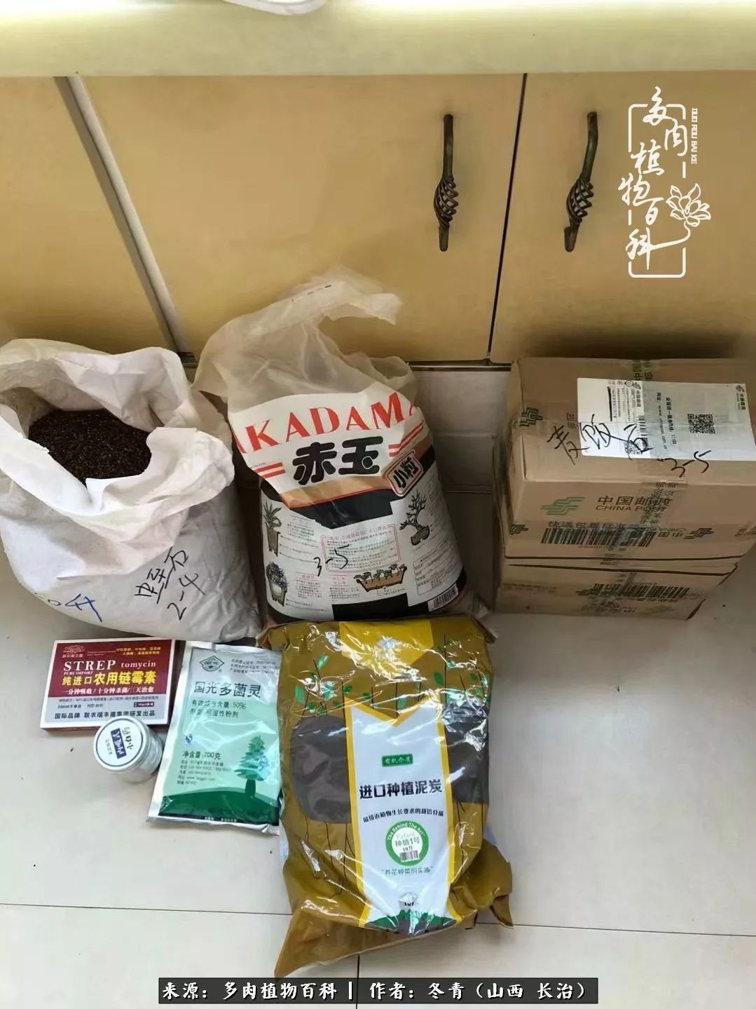 阳台养多肉徒长怎么办,阳台养多肉养殖方法和注意事项