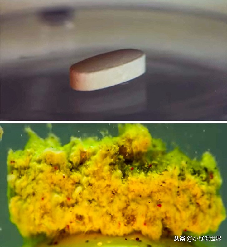 教科书照片与现实照片,教科书图片里的人