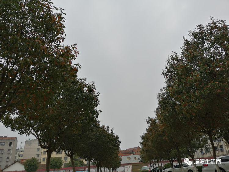 诗中的随县澴潭二小随州作者孔庆杰】