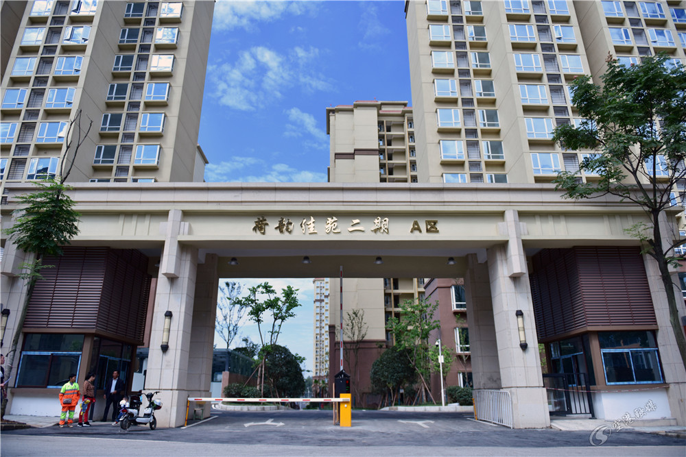 期待已久的小长假,期盼已久的小长假