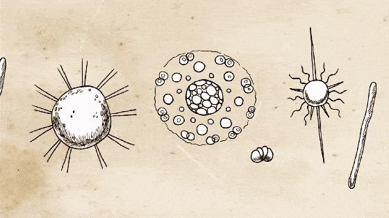 裤上有股腥臭味是怎么了,女性裤子湿湿的有异味怎么办