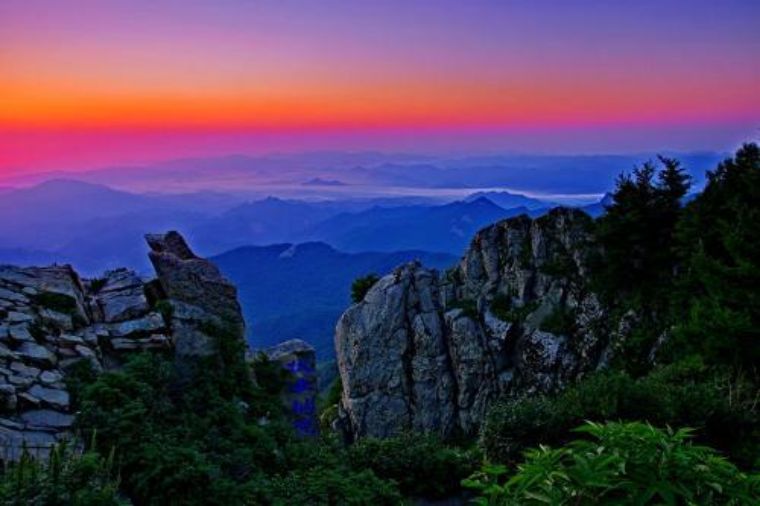 花香弥漫，云海林涛，这个小众景点真的美到让人窒息