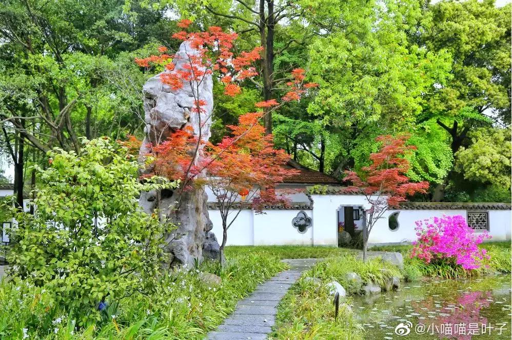 成都市区小众景点免费,成都冷门旅游景点推荐