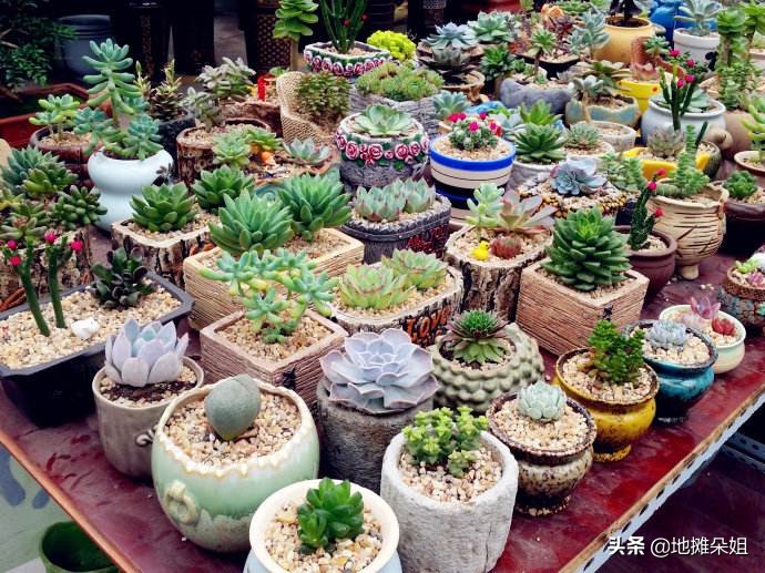 摆地摊春天卖什么,一年四季摆地摊卖什么最赚钱