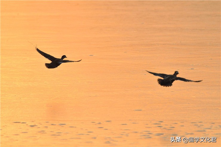 曾国藩强大的自律能力,曾国藩怎么立志到成功的