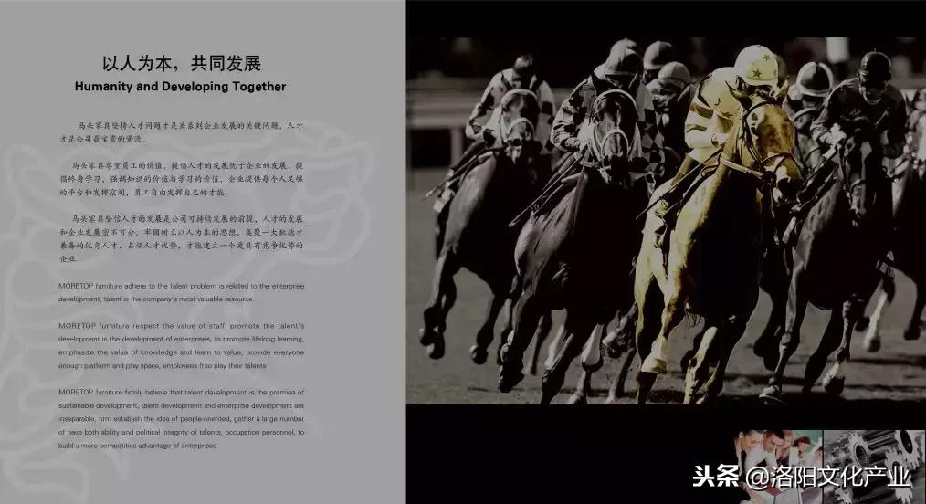 洛阳市文化产业协会会员风采展示──洛阳马头实业发展有限公司