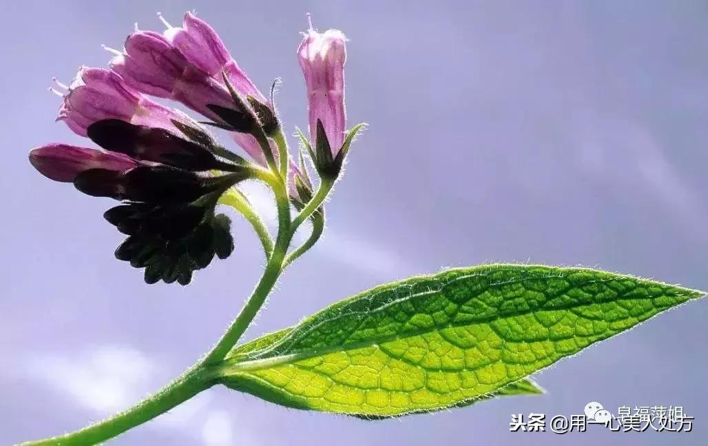 用一心告诉你，嘴唇干裂出血怎么办？