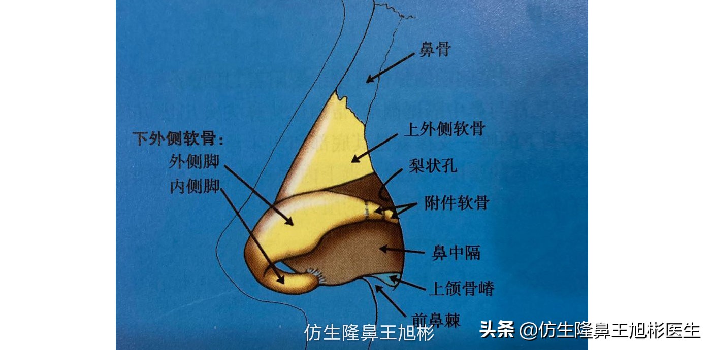 鼻尖整形最简单方法,鼻尖整形的方法图解