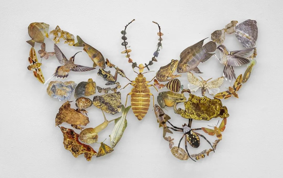 叹为观纸折纸作品,最近超火的纸手工