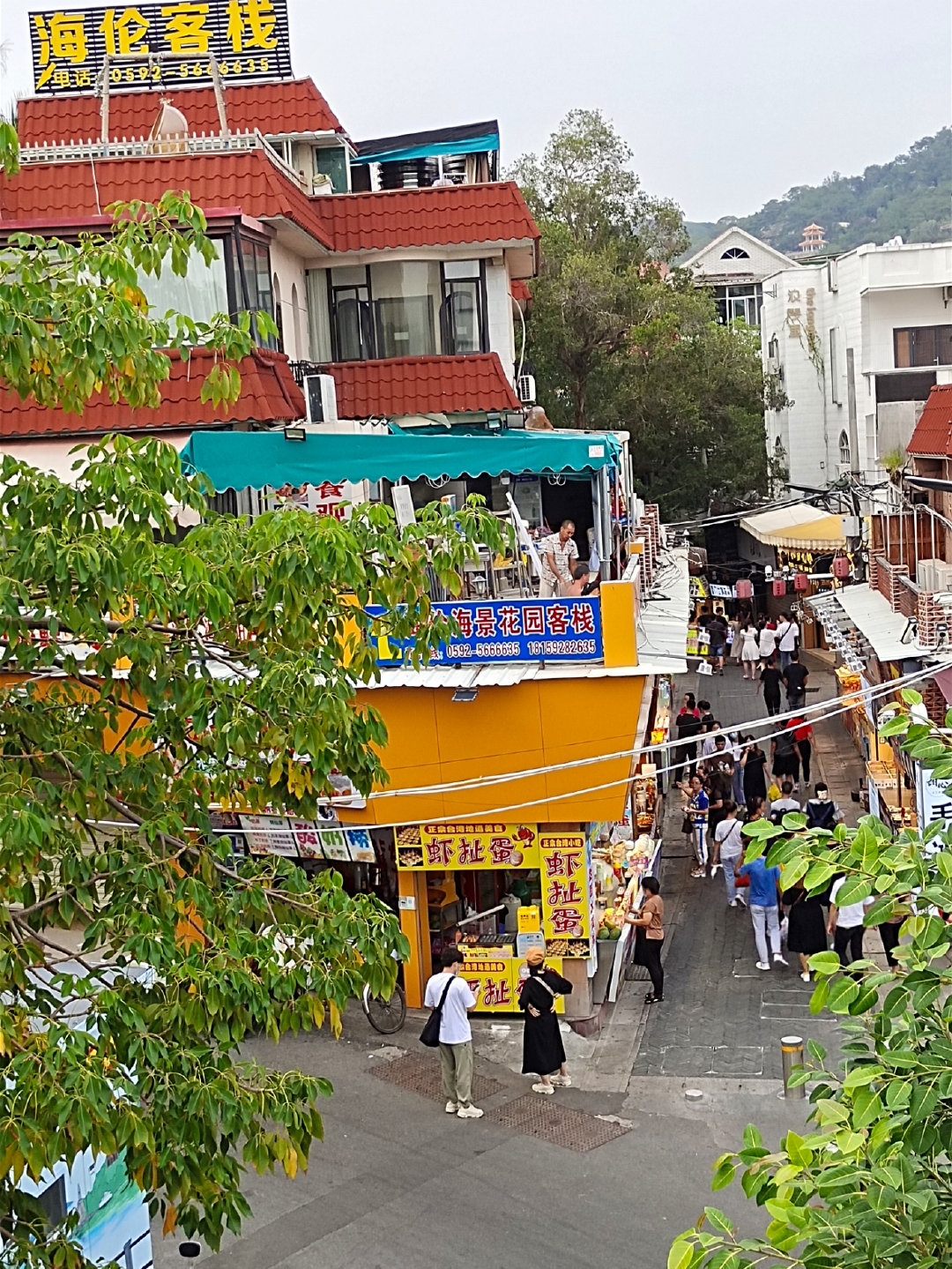 曾厝垵一日游攻略,曾厝垵旅游攻略