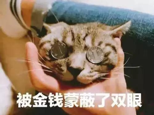 斜杠青年做副业,年轻人下班后搞副业月入过万