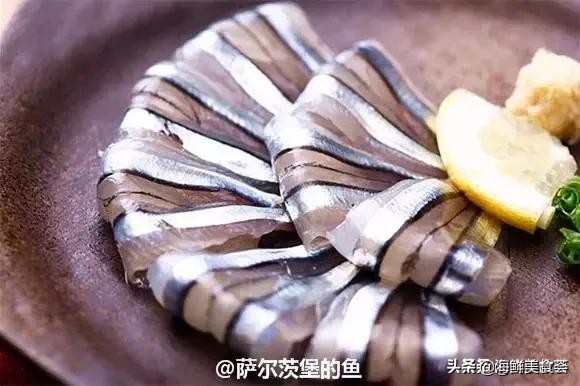 各种寿司纯鲜三文鱼刺身,日本传统寿司都用什么鱼