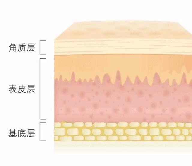 美白精华哪个变白效果最好,什么美白精华既平价又可以美白