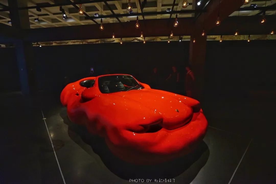 去哪里旅游可以看南极企鹅,旅游攻略南极看企鹅