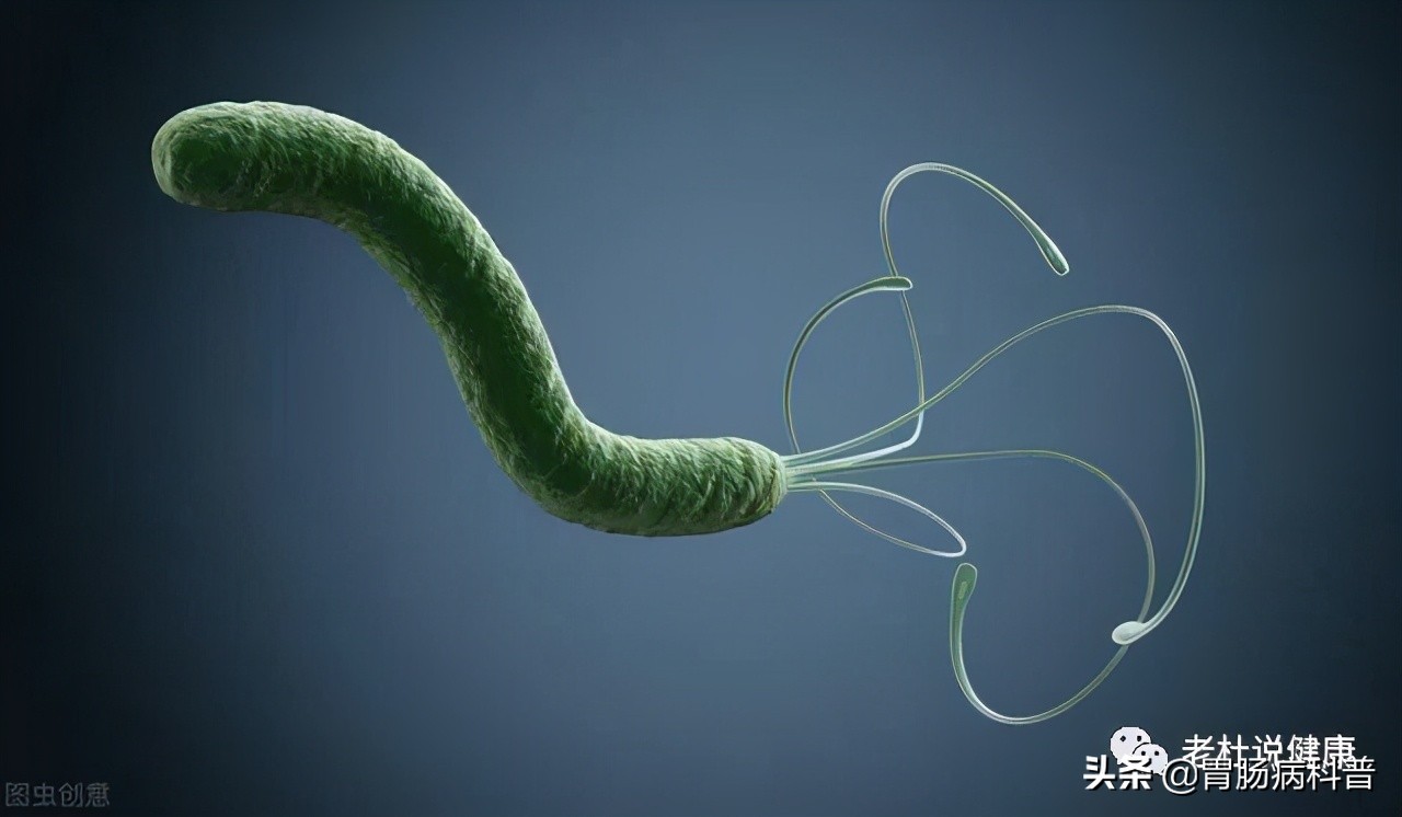 治疗幽门螺杆菌6种新疗法——成功率高，副反应少