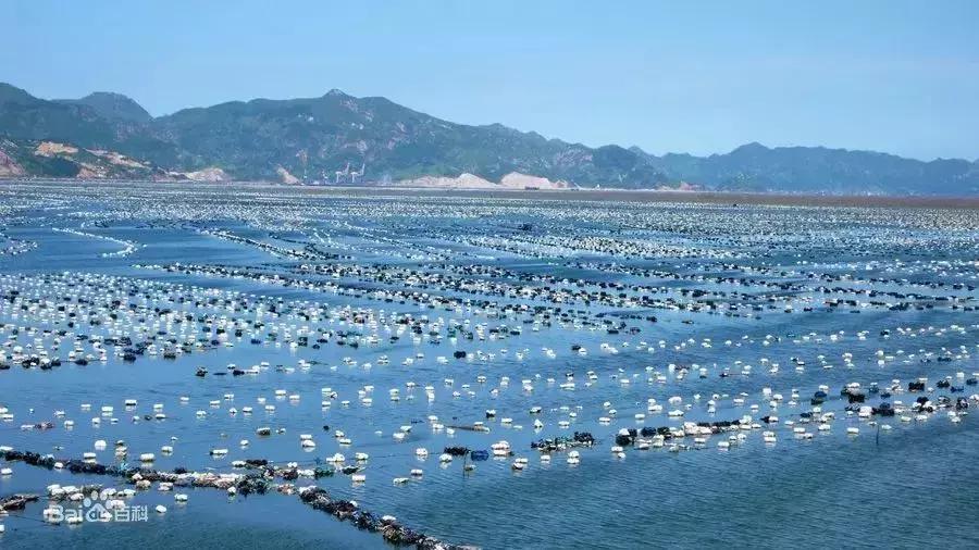 这就是福建,罗源一个正在崛起的城市