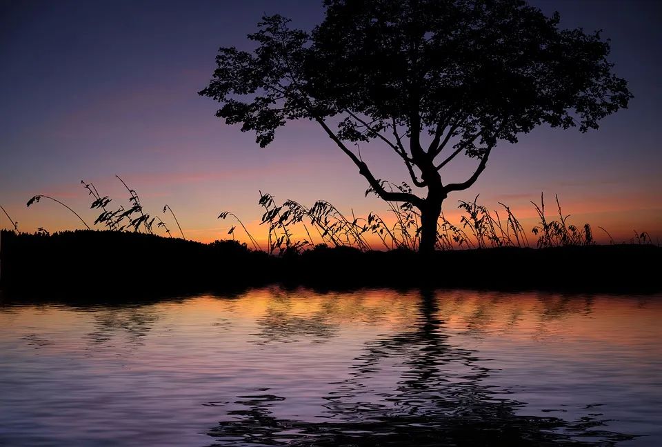 杜甫看破世态炎凉的诗句,杜甫世态炎凉的句子