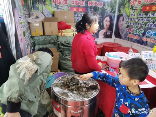 农村致富小投资的创业项目有哪些,适合穷人的18个创业项目农村投资